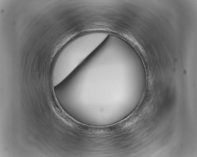 X0000067000533200603241048