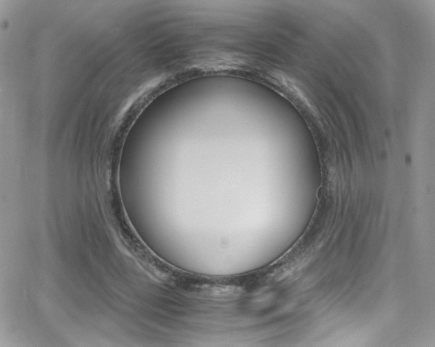 X0000067000539200603241048