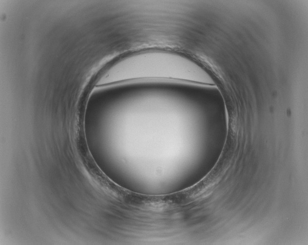 X0000067000540200603241048
