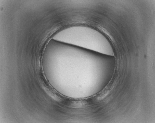 X0000067000541200603241048