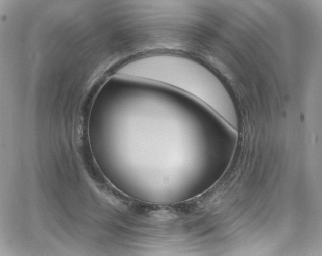 X0000067000544200603241048