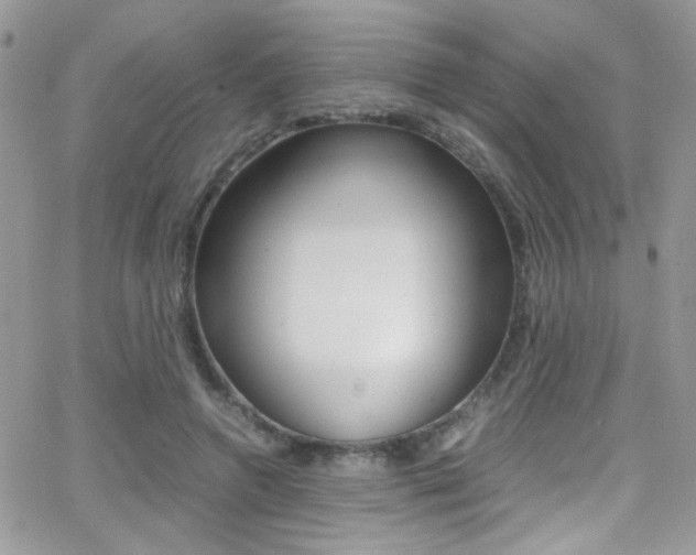 X0000067000546200603241048