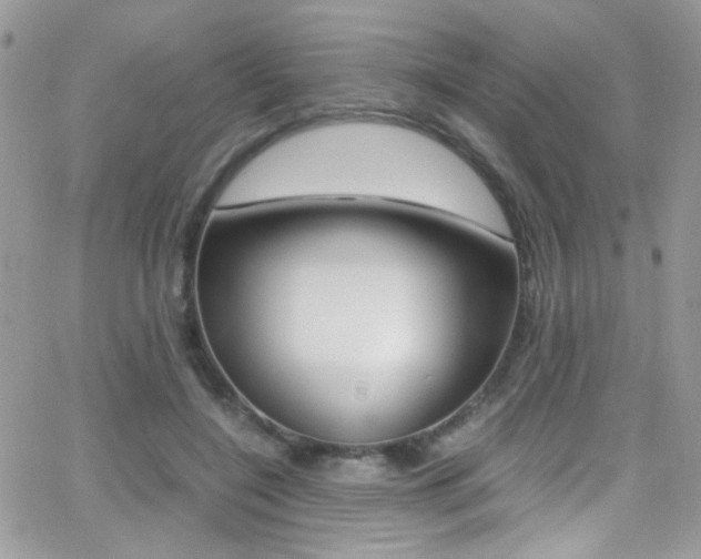 X0000067000548200603241048