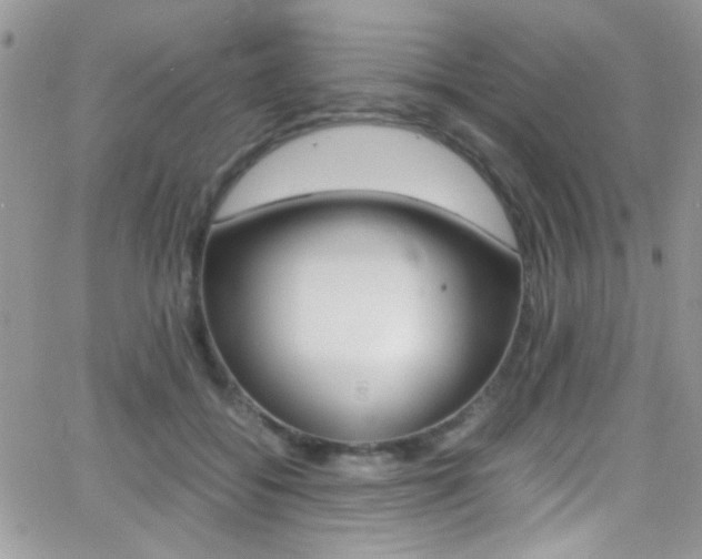 X0000067000556200603241048
