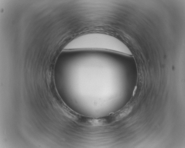 X0000067000558200603241048