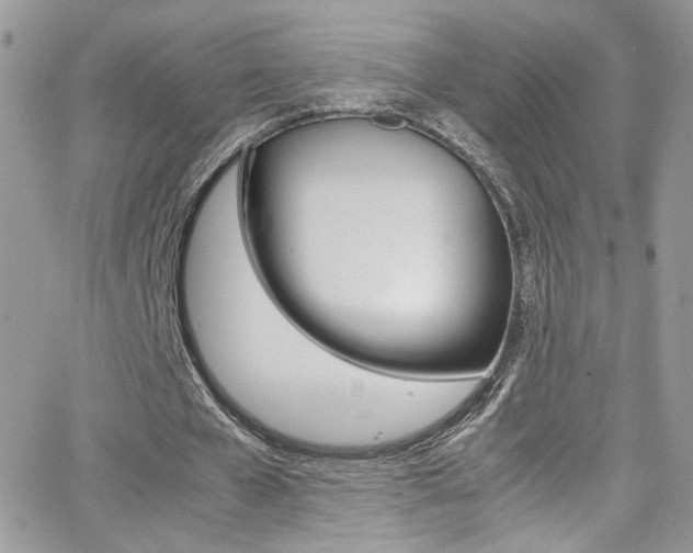 X0000067000577200603241047