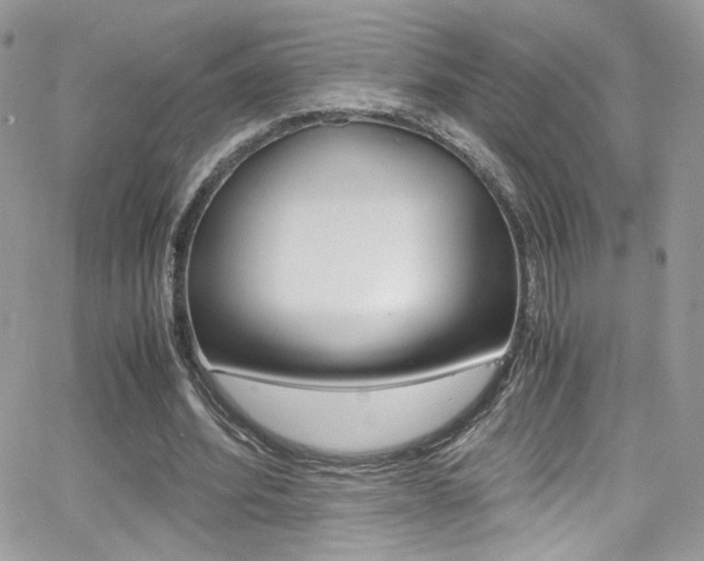 X0000067000580200603241047