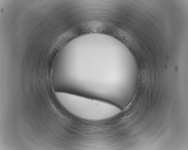 X0000067000594200603241047