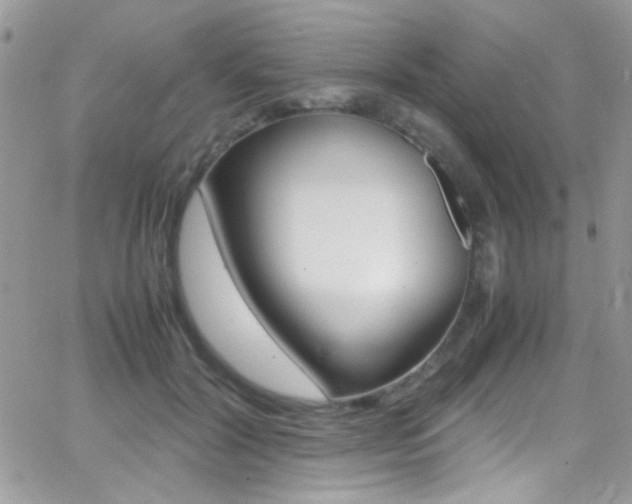 X0000067000604200603241047