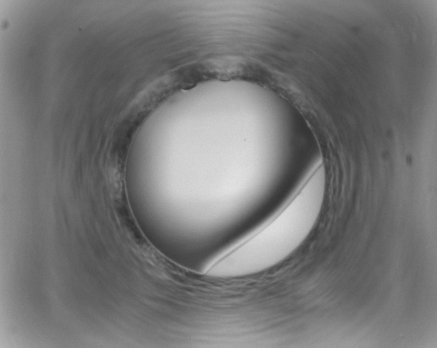X0000067000609200603241047