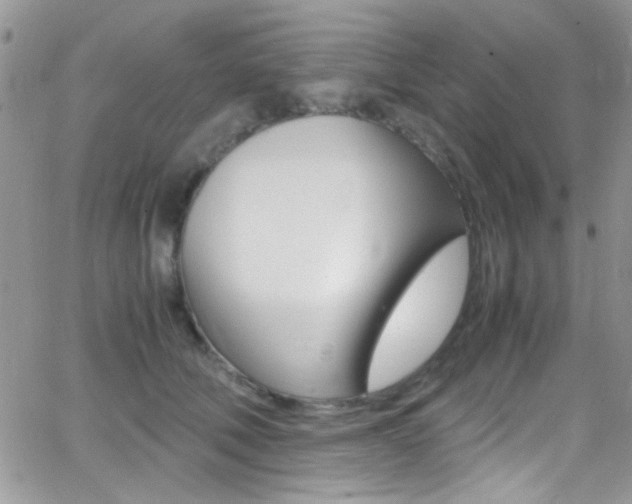 X0000067000610200603241047