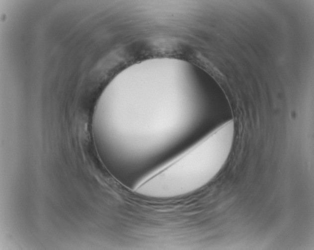 X0000067000615200603241047