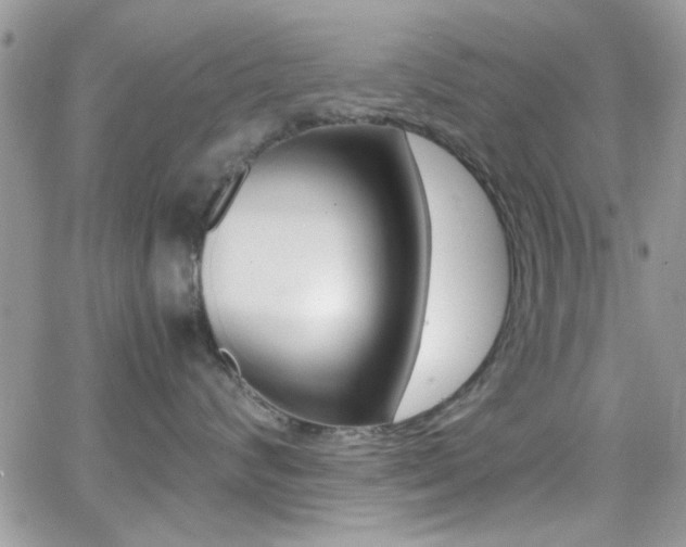X0000067000624200603241047