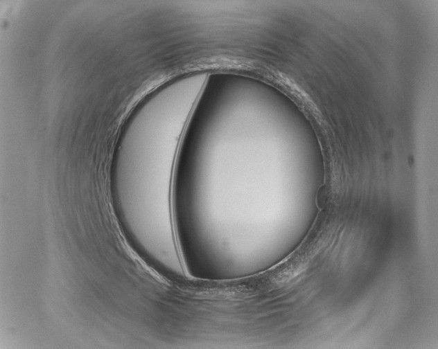 X0000067000625200603241046