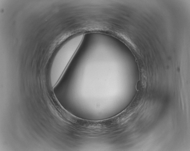 X0000067000631200603241046