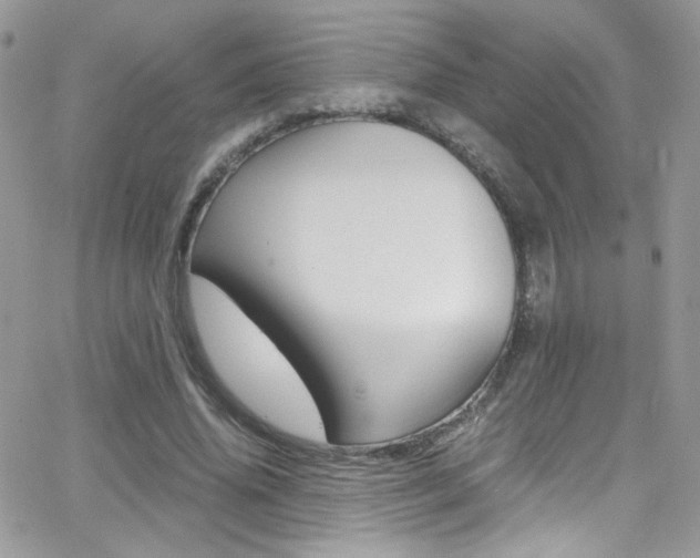 X0000067000636200603241046