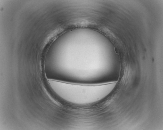 X0000067000638200603241046