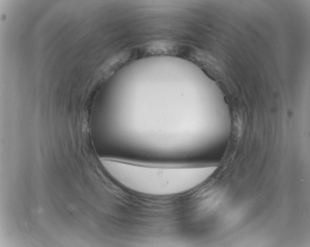 X0000067000665200603241047