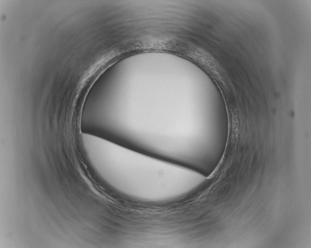 X0000067000674200603241046