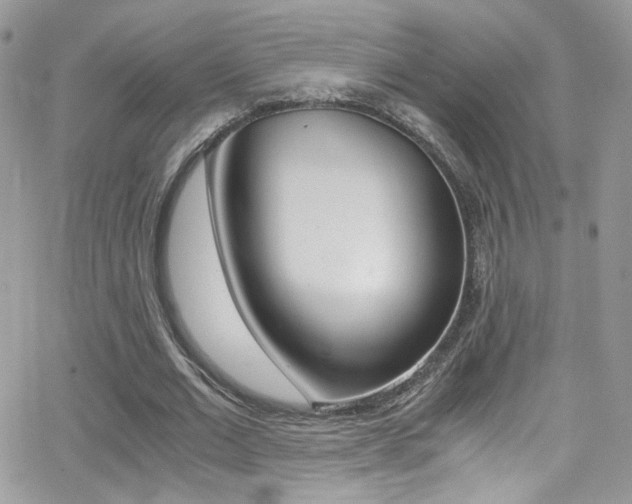 X0000067000677200603241046