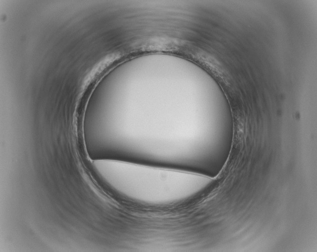 X0000067000678200603241046