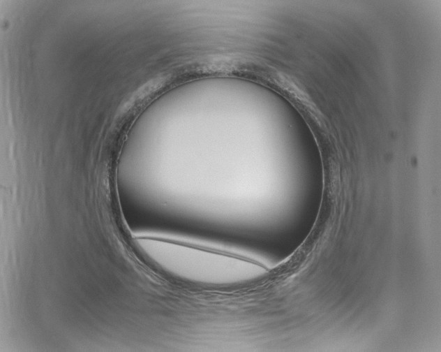 X0000067000681200603241046
