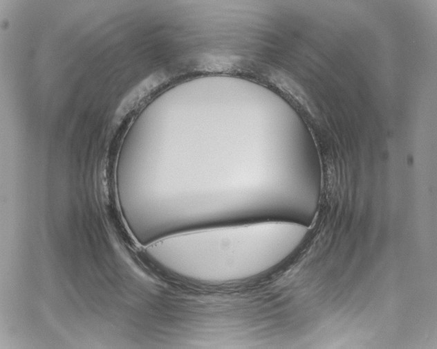 X0000067000682200603241046
