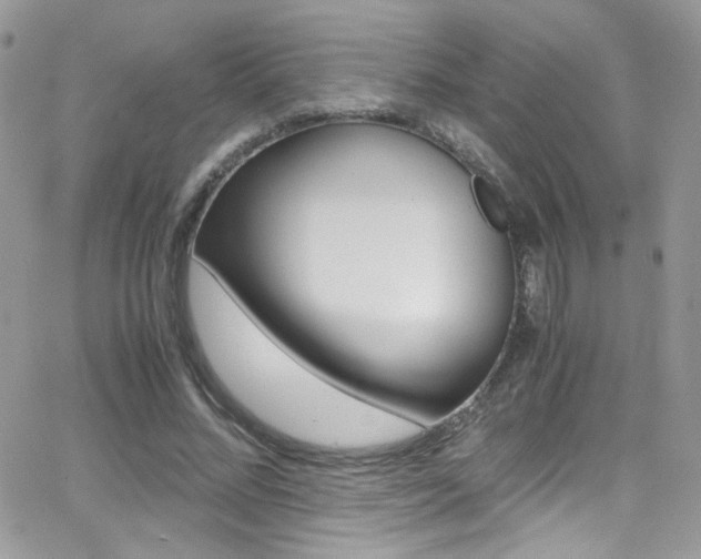 X0000067000684200603241046