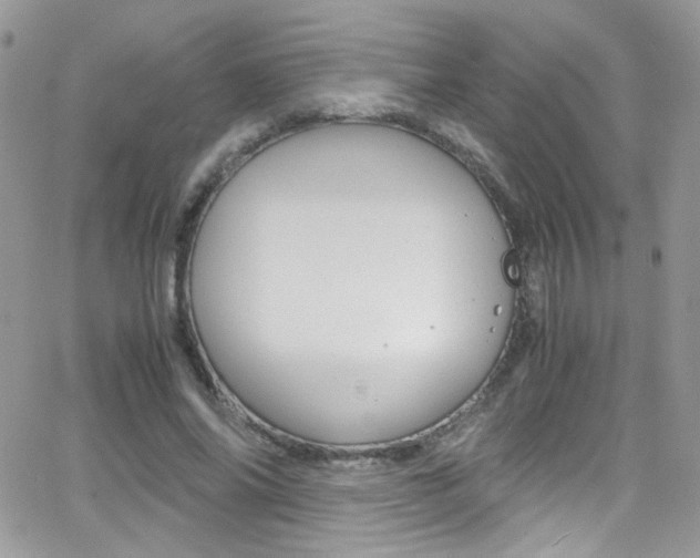 X0000067000686200603241046