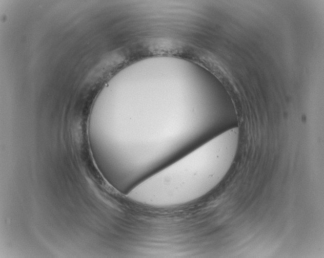 X0000067000690200603241046