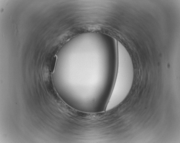 X0000067000704200603241045