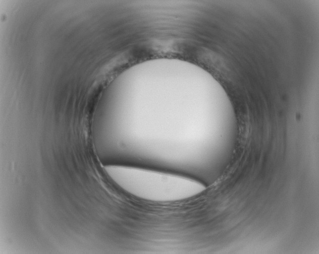 X0000067000710200603241045