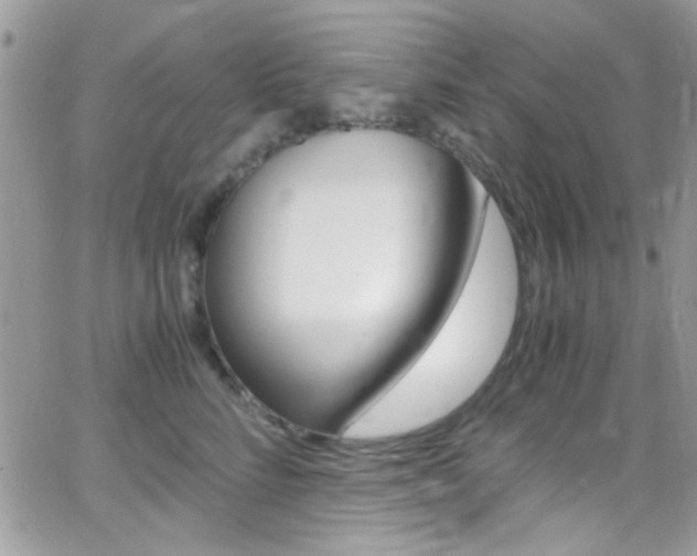 X0000067000712200603241045