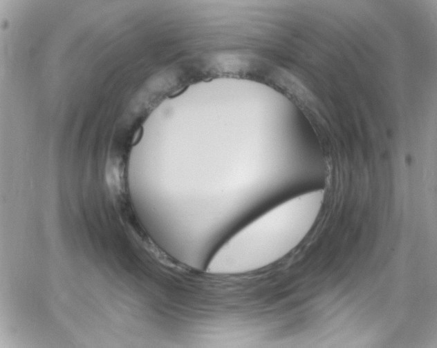 X0000067000718200603241045