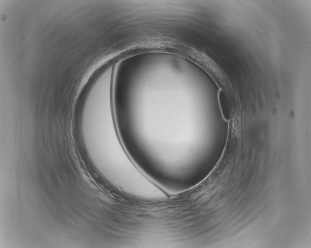 X0000067000724200603241044