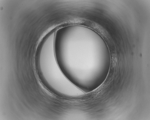 X0000067000726200603241044