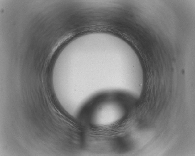 X0000067000731200603241045