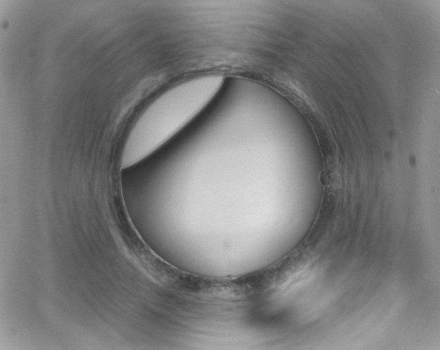 X0000067000738200603241045