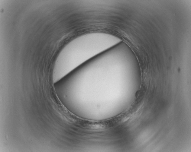 X0000067000741200603241045
