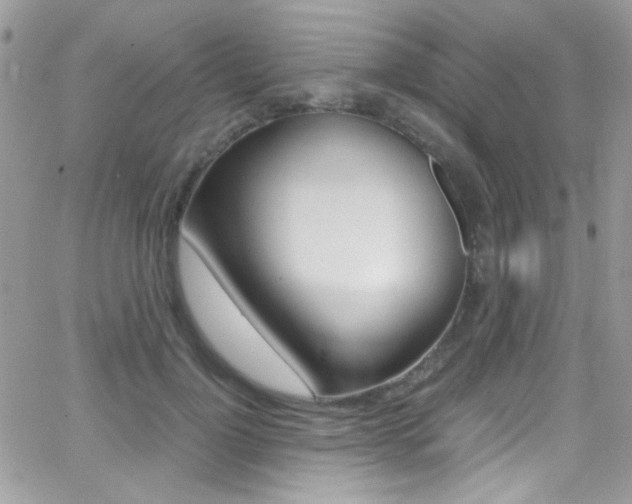 X0000067000748200603241045