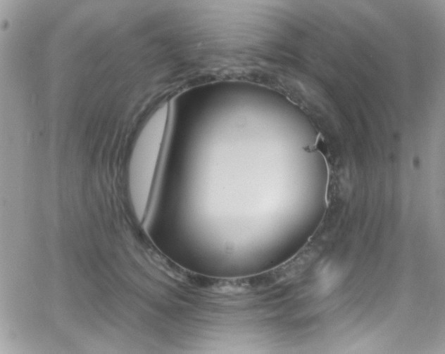 X0000067000756200603241045