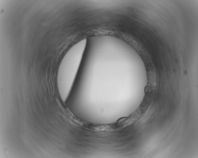 X0000067000761200603241045