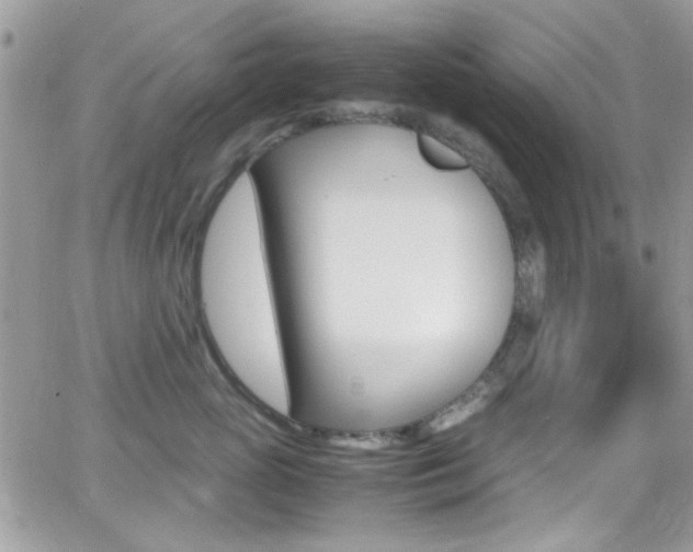 X0000067000765200603241045