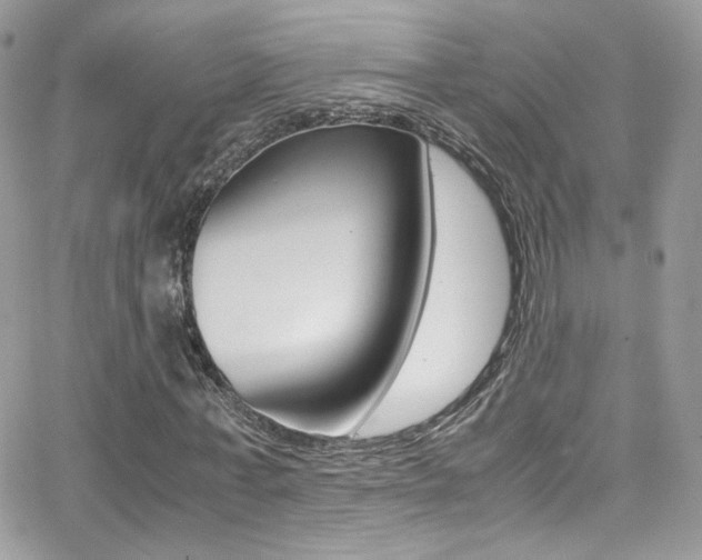X0000067000771200603241044