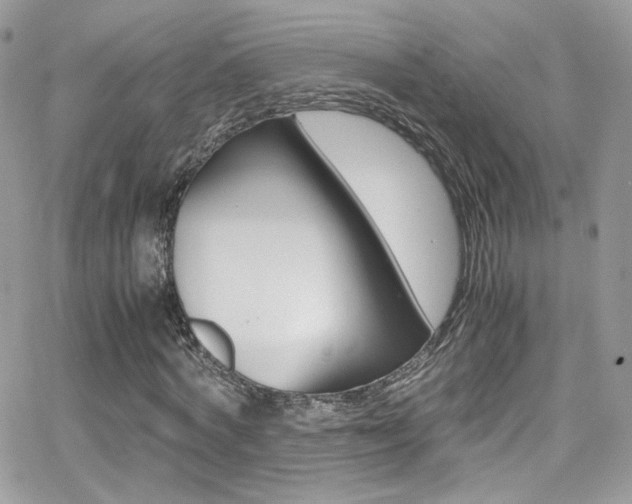 X0000067000772200603241044
