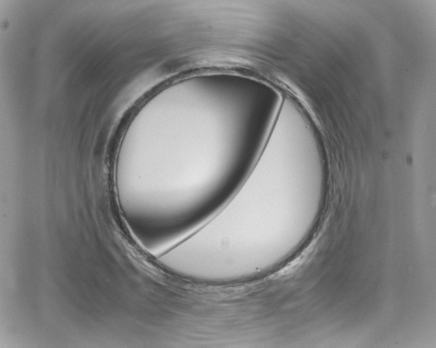 X0000067000779200603241044
