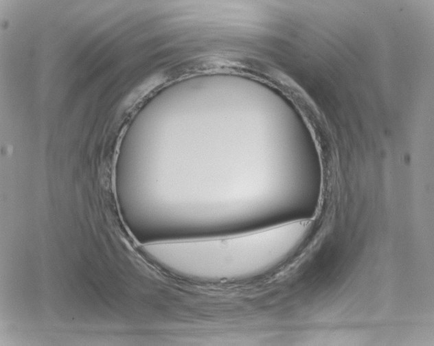 X0000067000785200603241044