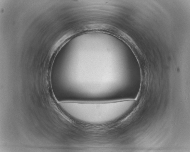 X0000067000786200603241044