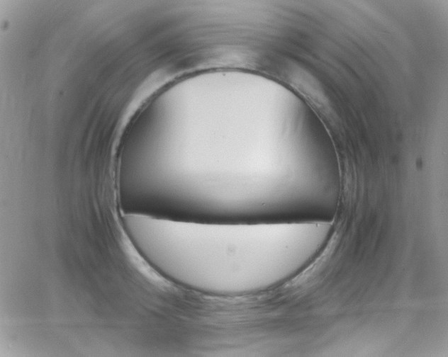 X0000067000800200603241044