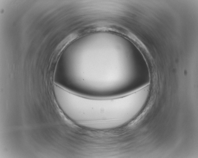 X0000067000801200603241044